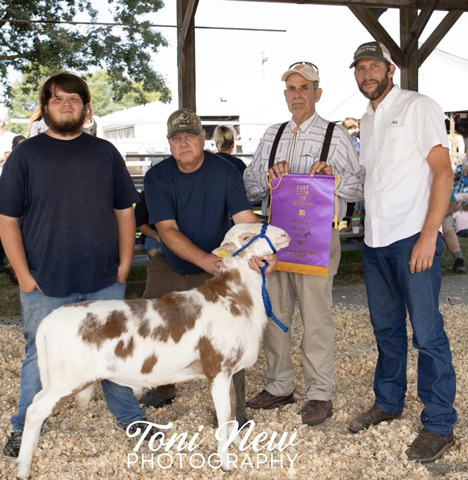 Five Points Farm 2023 Lorain County Fair Champion Ram