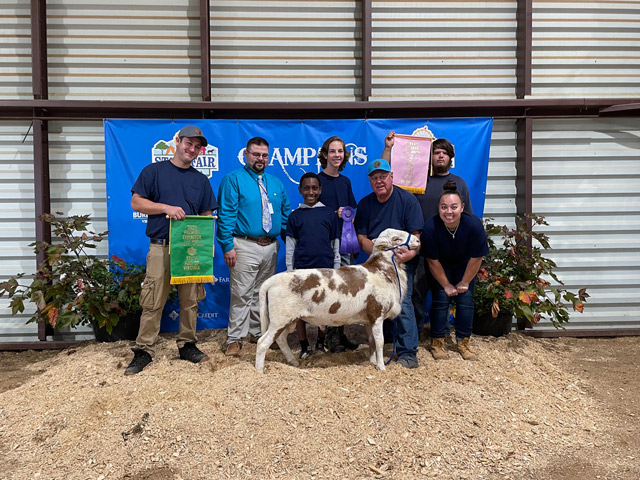 Five Points Farm 2023 Virginia State Fair Reserve Champion Ram