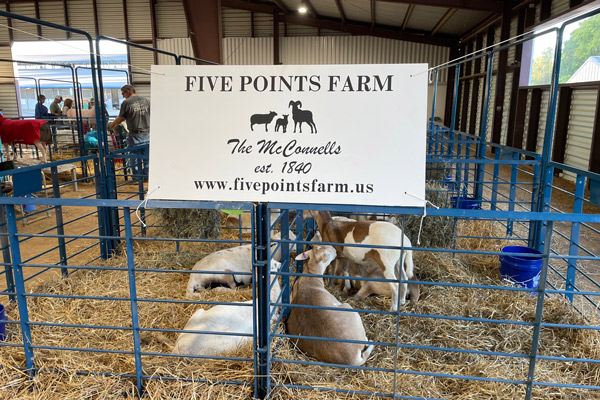 Five Points Farm est 1840